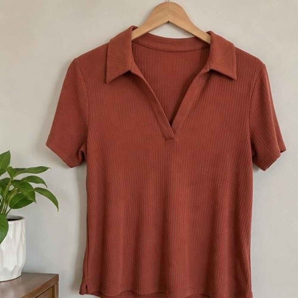 Rust V Neck Top